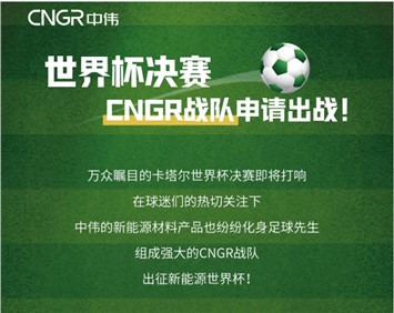 世界杯決賽 | CNGR戰(zhàn)隊(duì)申請(qǐng)出戰(zhàn)！